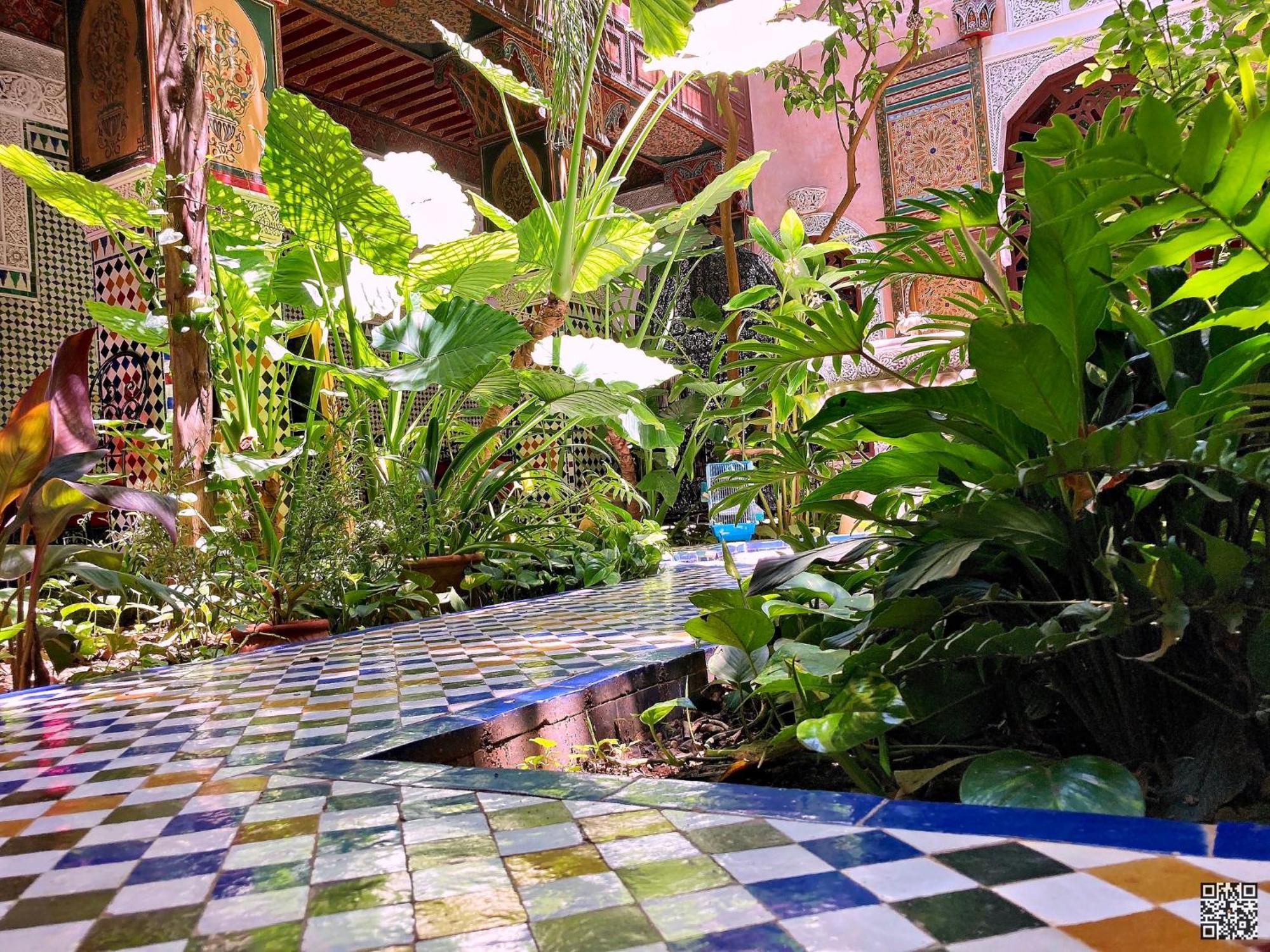 Riad Toyour- Riad Of Birds Fès Exterior foto