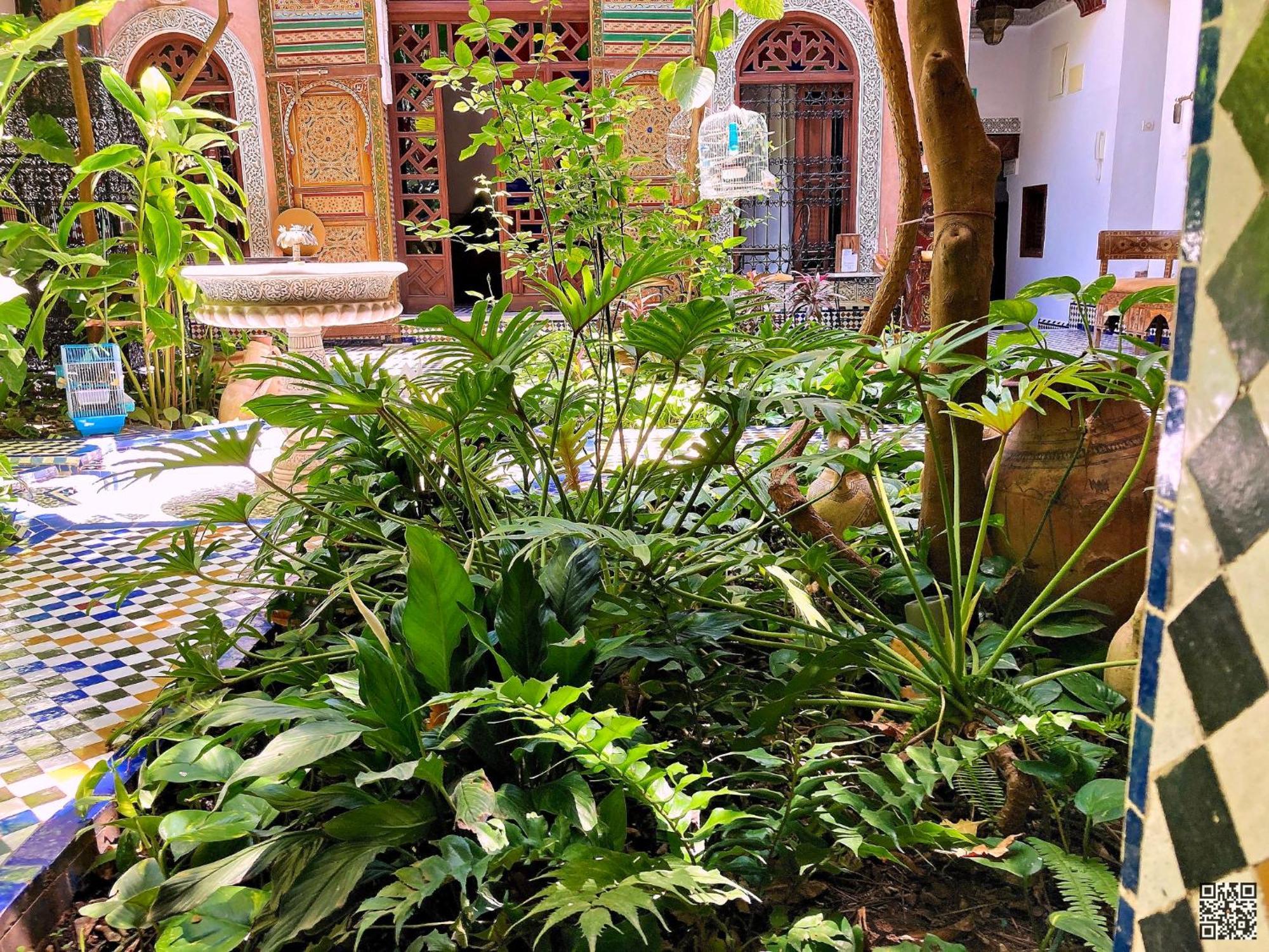 Riad Toyour- Riad Of Birds Fès Exterior foto